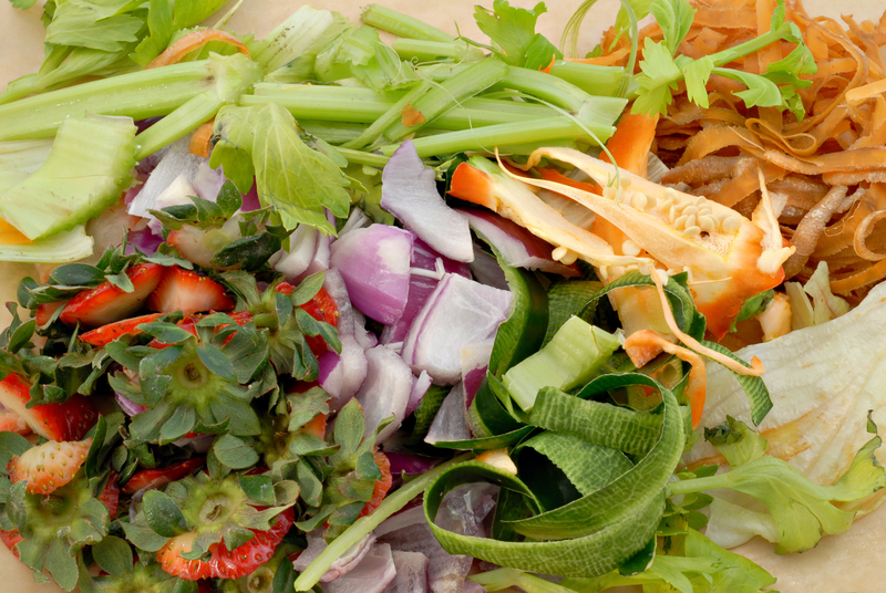 Why Waste Clearance Services Are a Must-Have