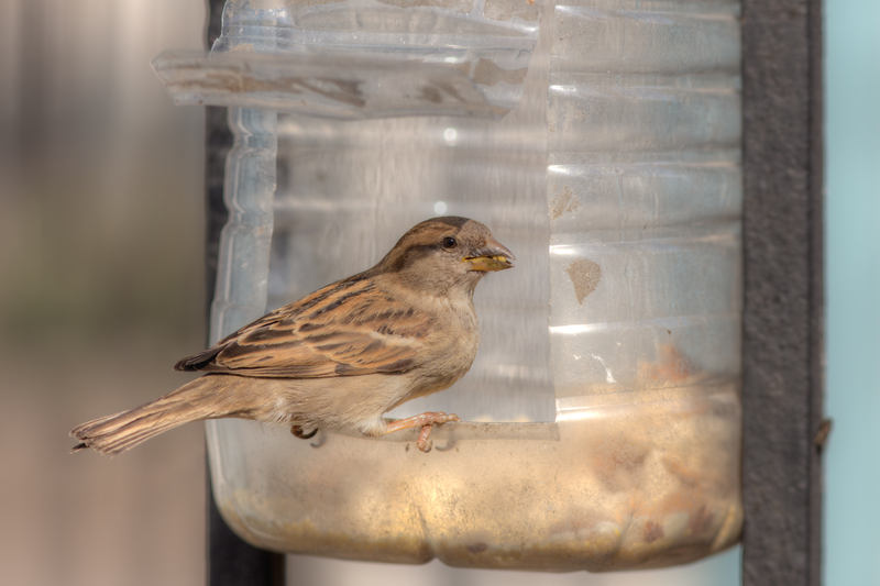 rubbish removal Rubbish clearance
